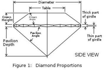 A Diamond's Anatomy