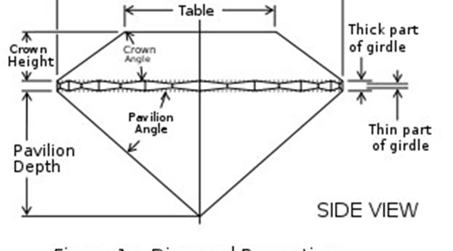 A Diamond's Anatomy