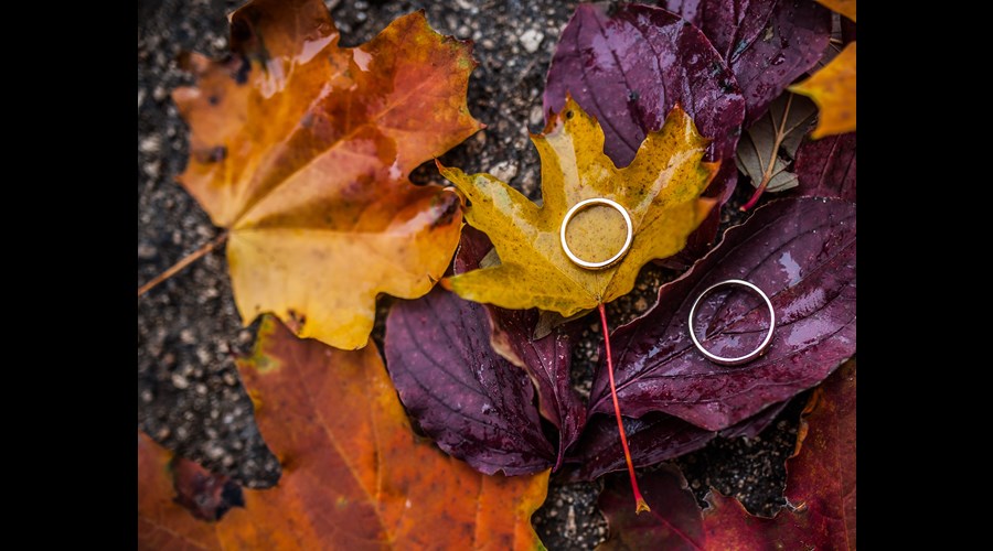 Our Wedding Jewellery Guide this Autumn