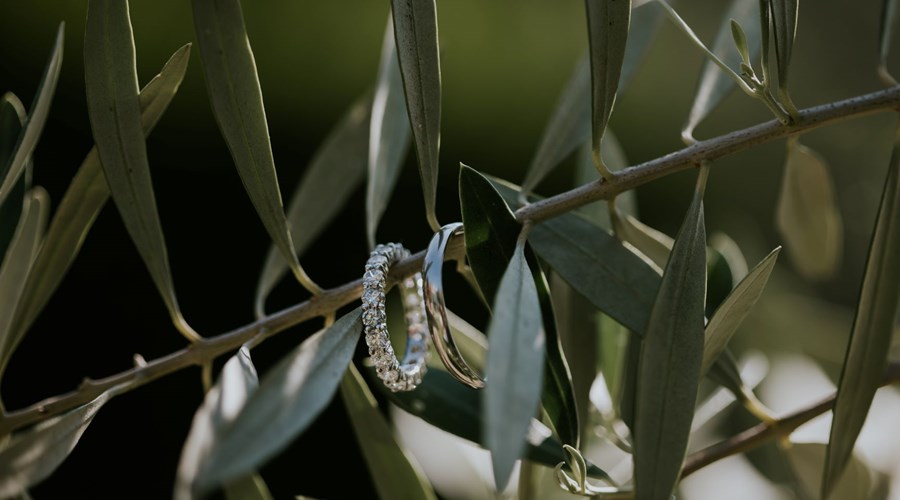 Should I go for a Diamond set Wedding band, or a Plain band?