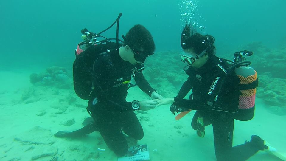 21 Simple, Romantic Ways to Propose - Part 3