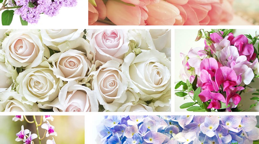 Flowers perfect for a Spring Wedding Bouquet