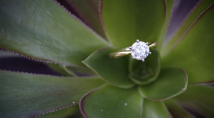 Simple Diamond Engagement Rings