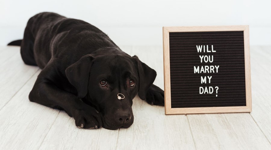At Home Proposal Ideas