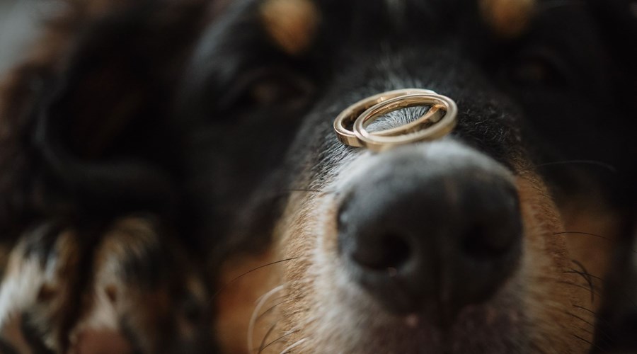 First Steps to Making Your Wedding Rings