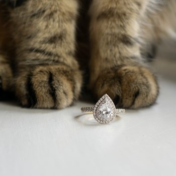 Engagement Rings