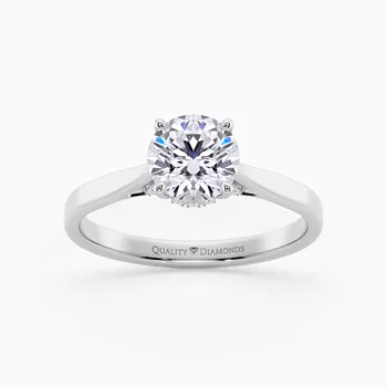 Diamond Set Round Brilliant Clara Diamond Ring in Platinum