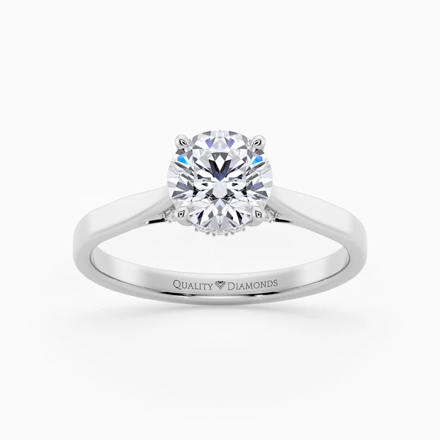 Diamond Set Round Brilliant Clara Diamond Ring in Palladium