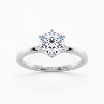 Diamond Set Round Brilliant Lita Diamond Ring in Platinum