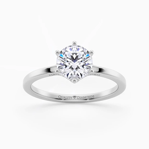 Diamond Set Round Brilliant Lita Diamond Ring in Platinum