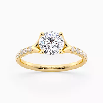 Diamond Set Round Brilliant Aurelia Diamond Ring in 18K Yellow Gold