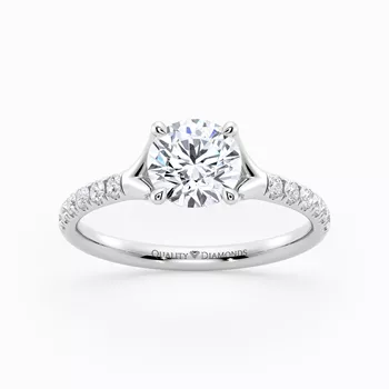 Diamond Set Round Brilliant Aurelia Diamond Ring in Platinum
