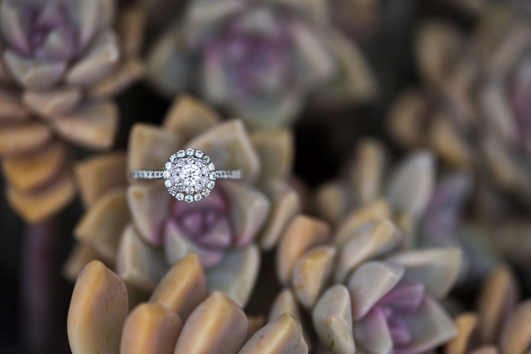 The not so Humble Halo Engagement Ring