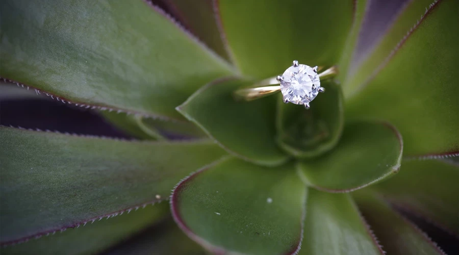 Simple Diamond Engagement Rings