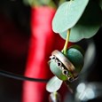 How to Buy an Eternity Ring