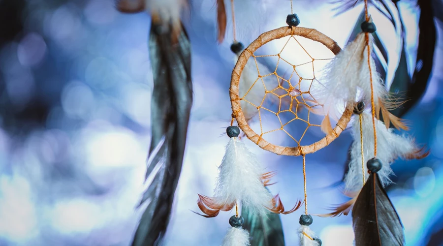 Our Dream Collection