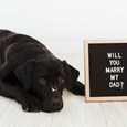 At Home Proposal Ideas