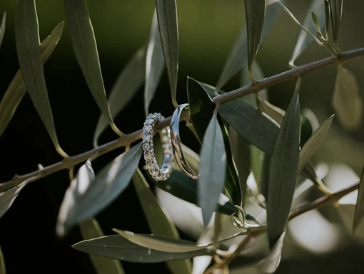 Should I go for a Diamond set Wedding Band, or a Plain Band? Should I go for a Diamond set Wedding Band, or a Plain Band?