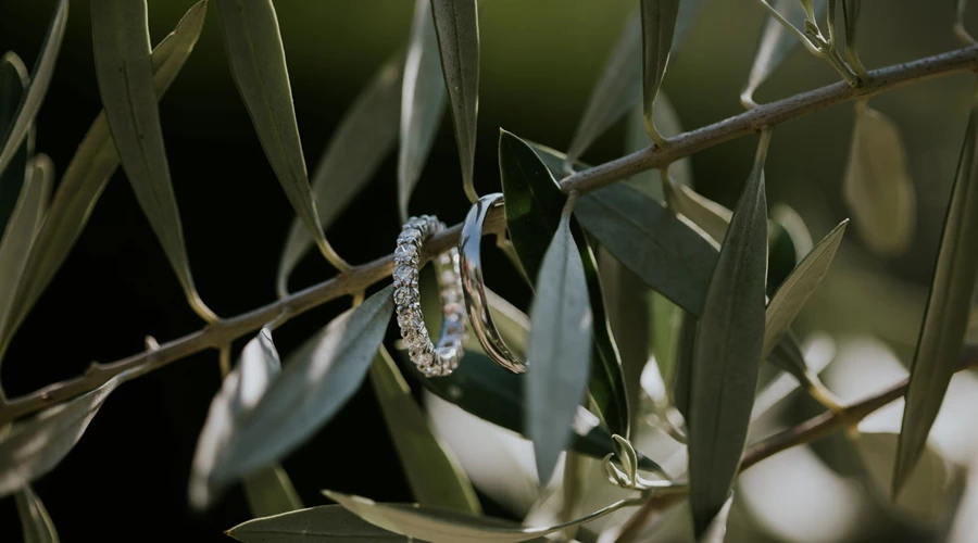 Should I go for a Diamond set Wedding Band, or a Plain Band?