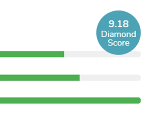 What is DiamondScore? What is DiamondScore?