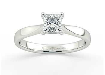 Princess Beau Diamond Ring in Platinum