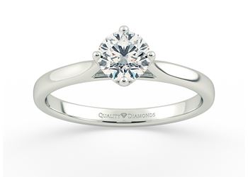 Round Brilliant Grazia Diamond Ring in Platinum