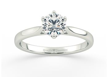 Six Claw Round Brilliant Grazia Diamond Ring in Platinum