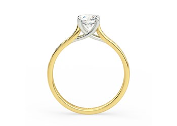 Diamond Set Round Brilliant Mirabelle Diamond Ring in 18K Yellow Gold
